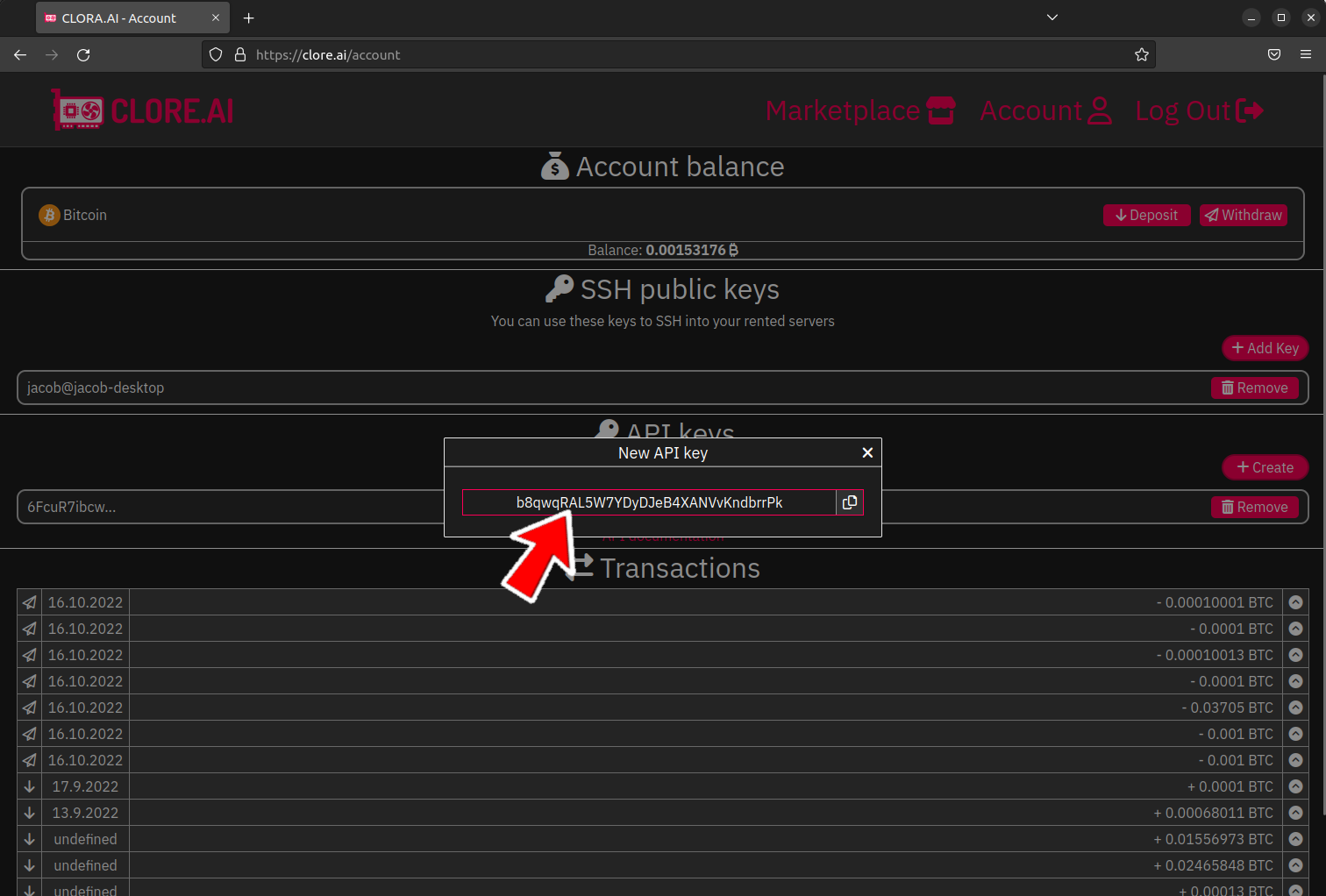 You get you API key alt text